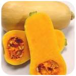 Courge_butternut.jpg