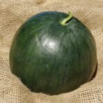 melon_chair_rouge.jpg