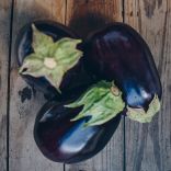Aubergine1 3.jpg