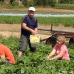 activite_ferme_2012.jpg