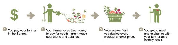 community-supported-agriculture.jpeg