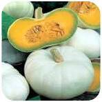 Courge_crown.jpg